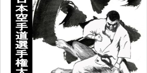 38º Campeonato Global Point & KO Japón